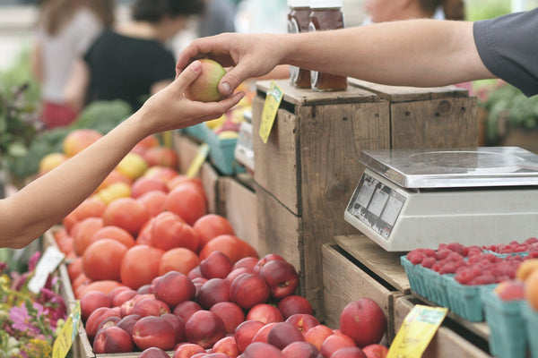 Food data kao poddisciplina Big Data – Od stola do polja u kontekstu OPG-a